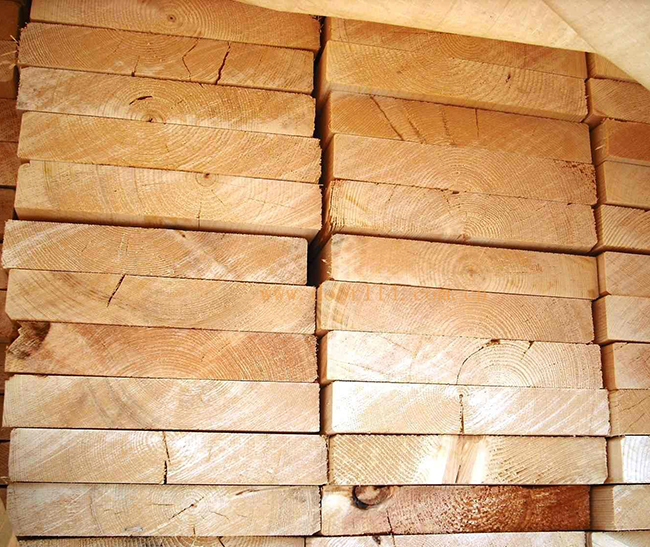 德化智利辐射松方木